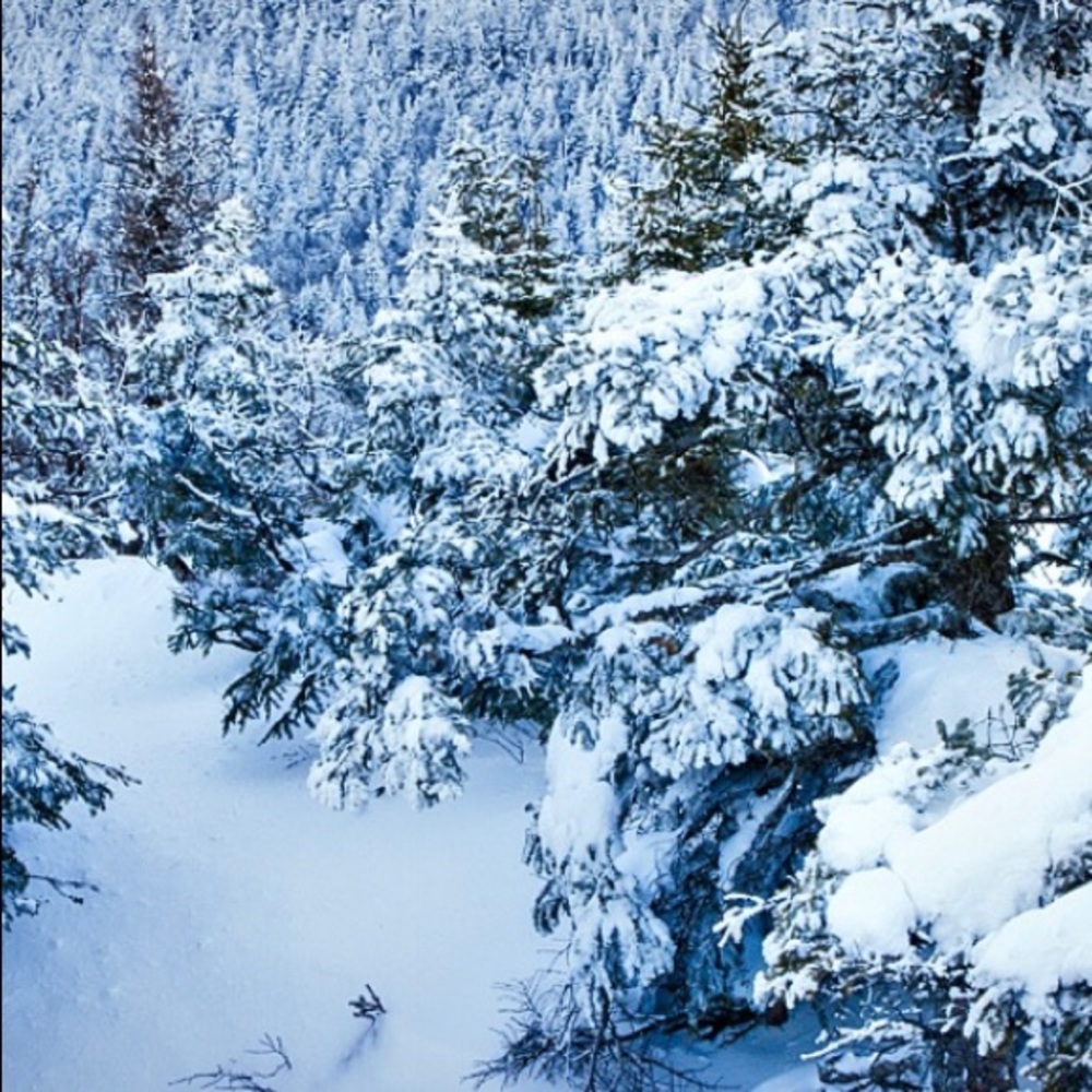 HAPPY WINTER! ❄️ ⛄️ ❄️ 25% discount on 2 or more items. Happy Poshing! 💙🤍